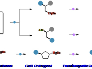 我校教育部重点实验室徐梦雨团队在《Angewandte Chemie International Edition》发表高水平研究成果