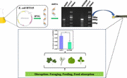 中心2021级研究生李建俏在一区TOP期刊《Journal of Agricultural and Food Chemistry》上发表论文